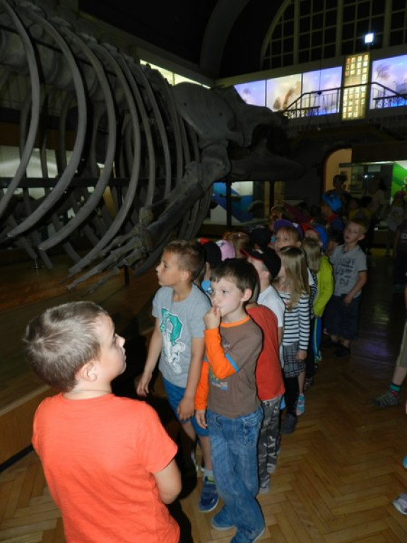 Wycieczkowy zawrót głowy w Jedenastce