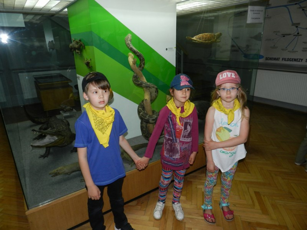 Wycieczkowy zawrót głowy w Jedenastce