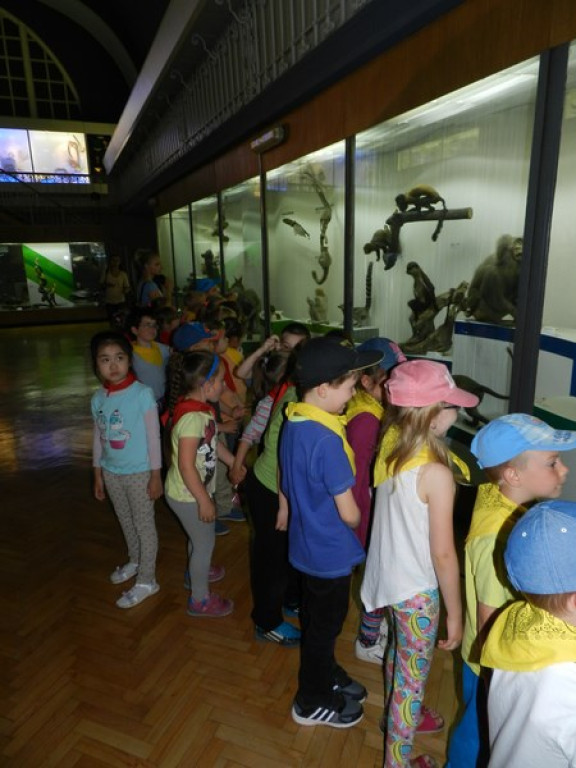 Wycieczkowy zawrót głowy w Jedenastce