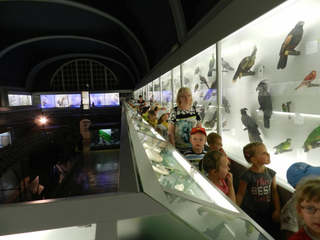 Wycieczkowy zawrót głowy w Jedenastce