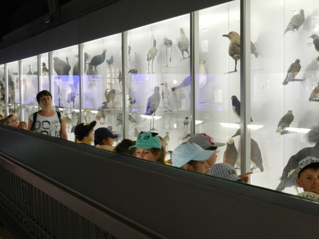 Wycieczkowy zawrót głowy w Jedenastce