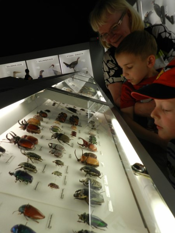 Wycieczkowy zawrót głowy w Jedenastce