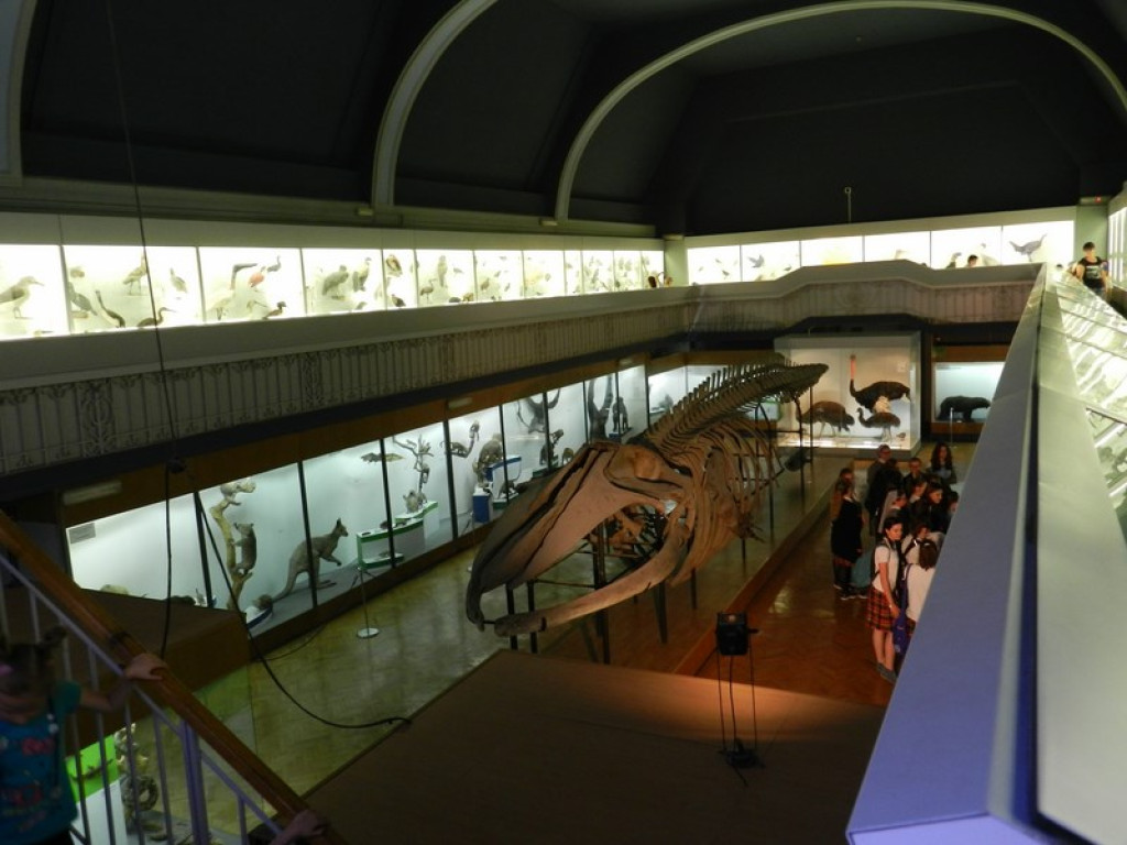 Wycieczkowy zawrót głowy w Jedenastce