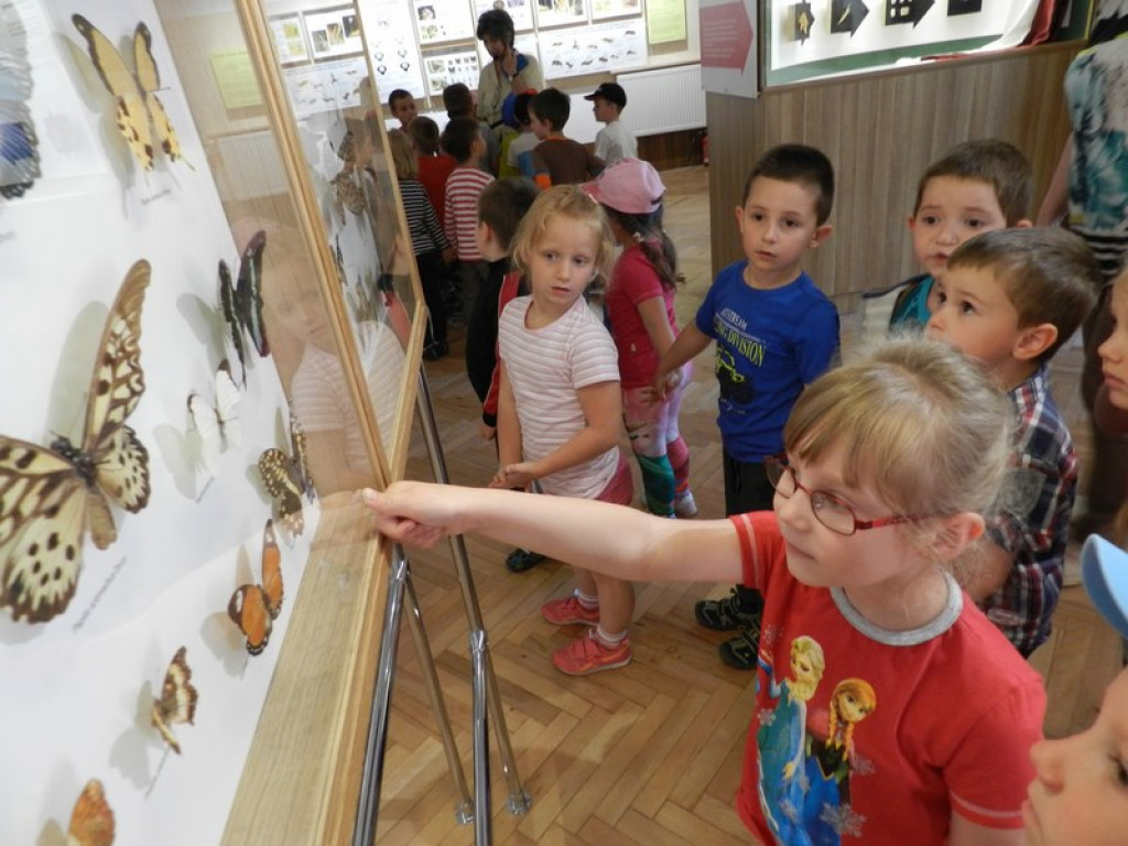 Wycieczkowy zawrót głowy w Jedenastce