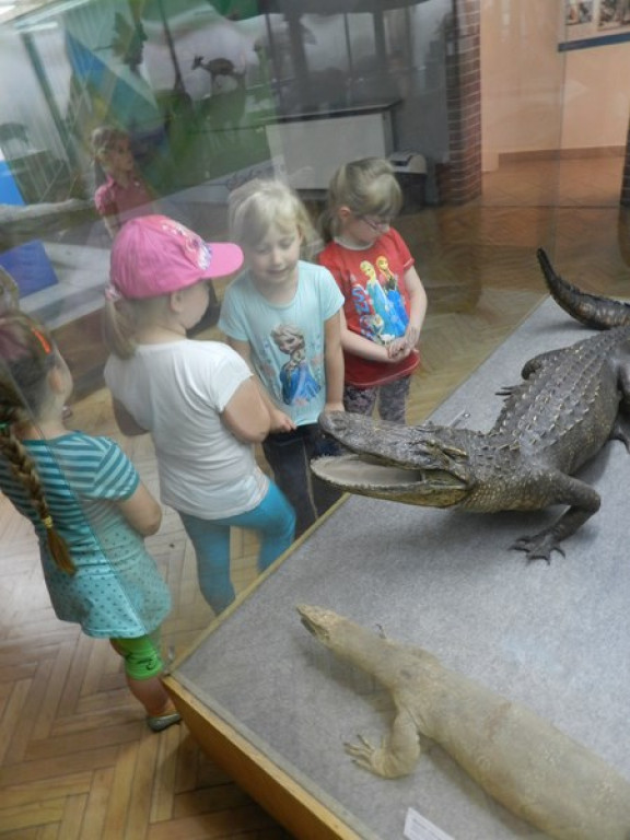 Wycieczkowy zawrót głowy w Jedenastce