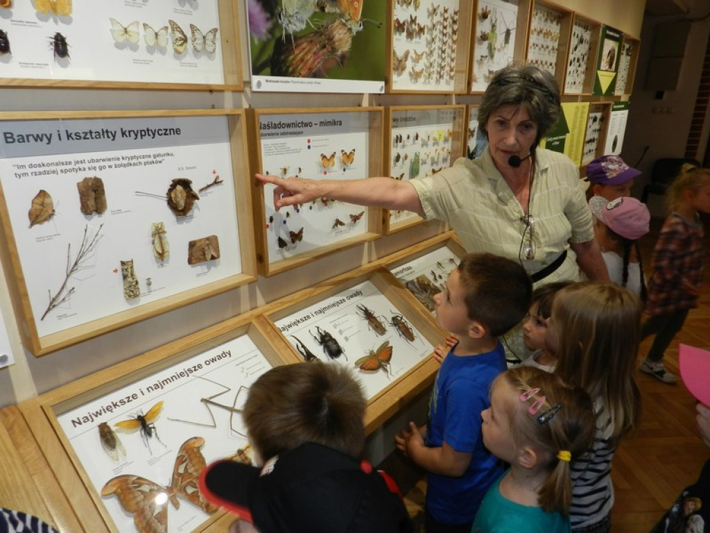 Wycieczkowy zawrót głowy w Jedenastce