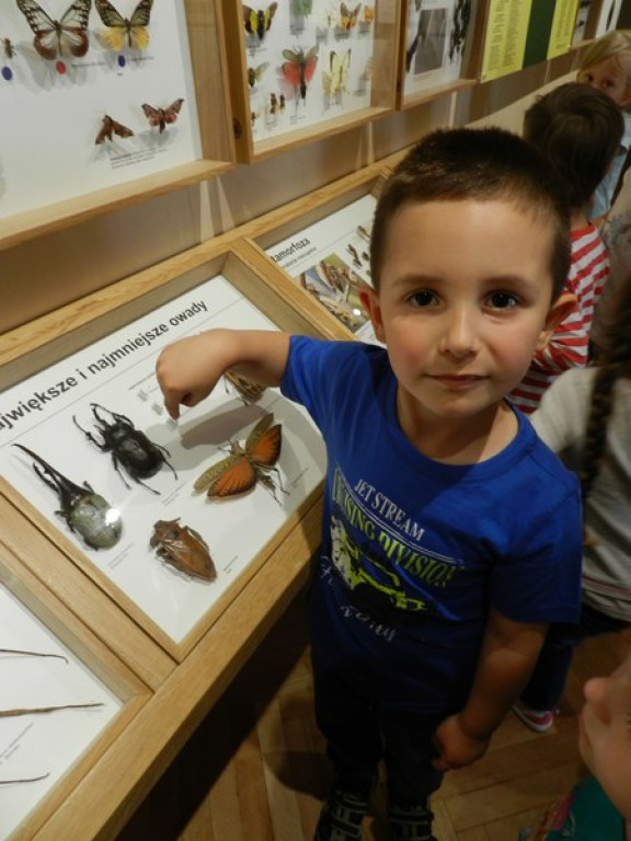 Wycieczkowy zawrót głowy w Jedenastce