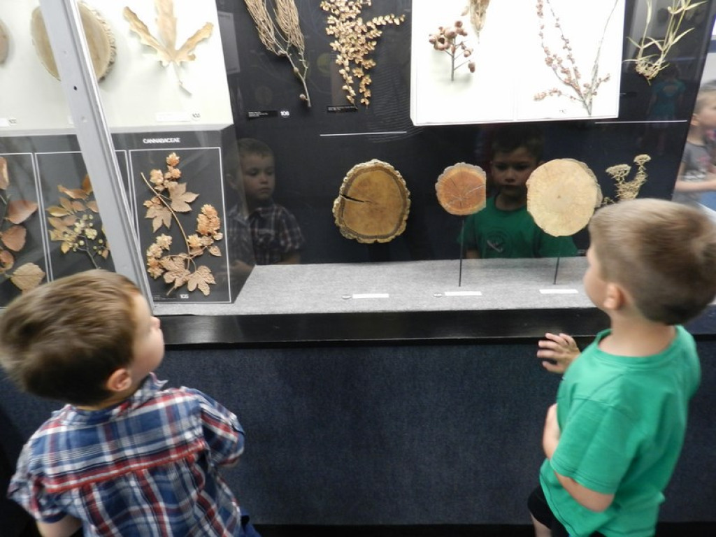 Wycieczkowy zawrót głowy w Jedenastce