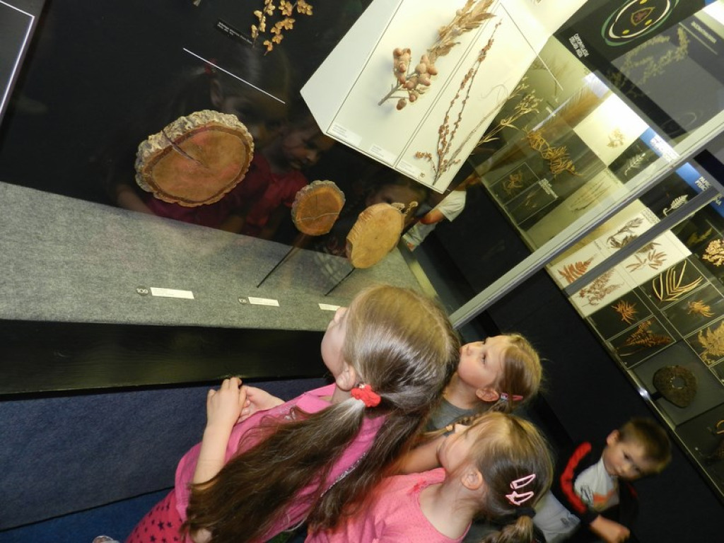 Wycieczkowy zawrót głowy w Jedenastce