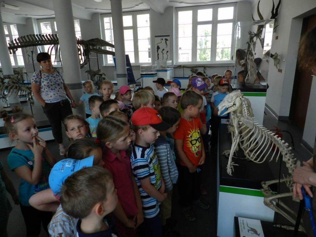 Wycieczkowy zawrót głowy w Jedenastce