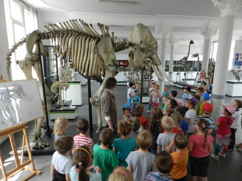 Wycieczkowy zawrót głowy w Jedenastce