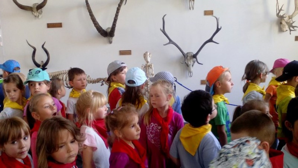 Wycieczkowy zawrót głowy w Jedenastce