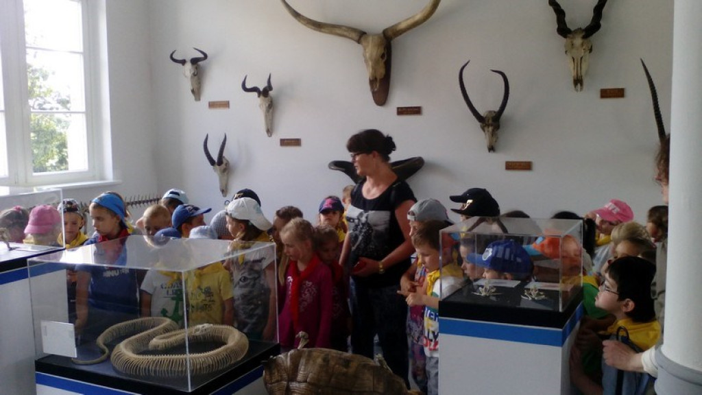 Wycieczkowy zawrót głowy w Jedenastce