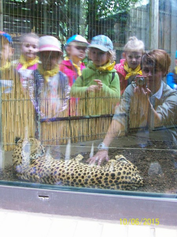 Wycieczkowy zawrót głowy w Jedenastce