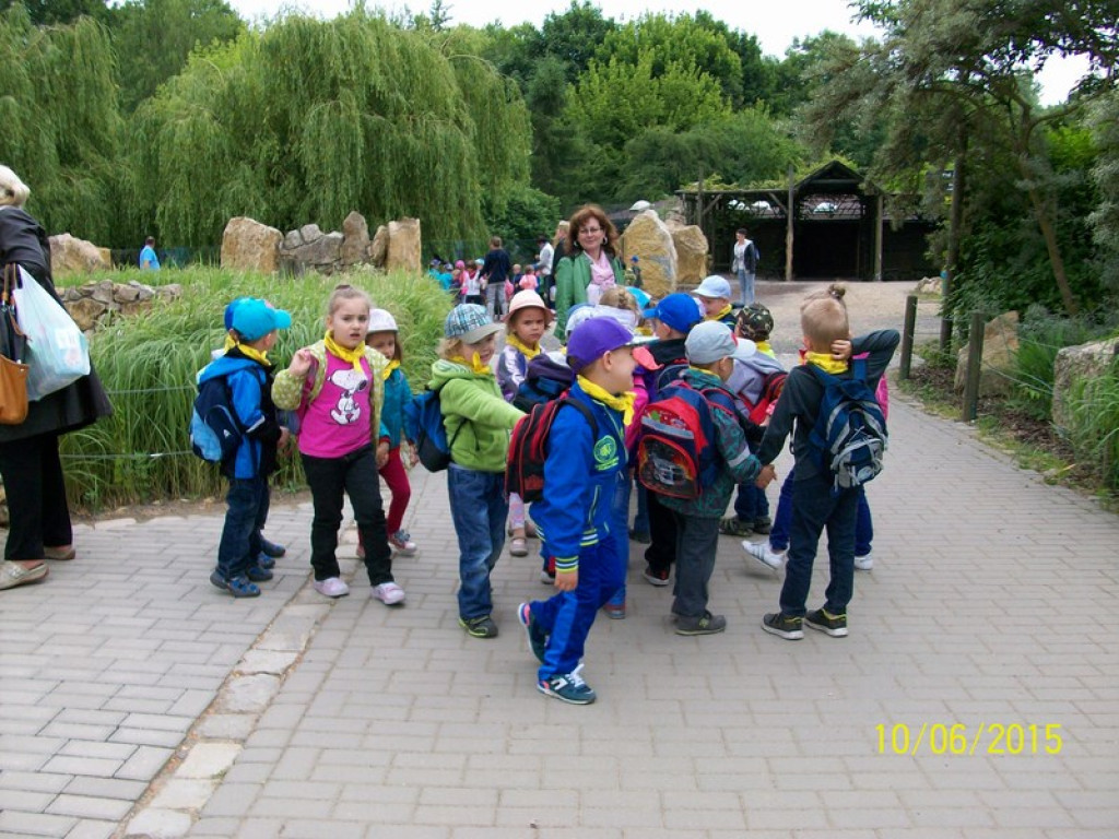 Wycieczkowy zawrót głowy w Jedenastce