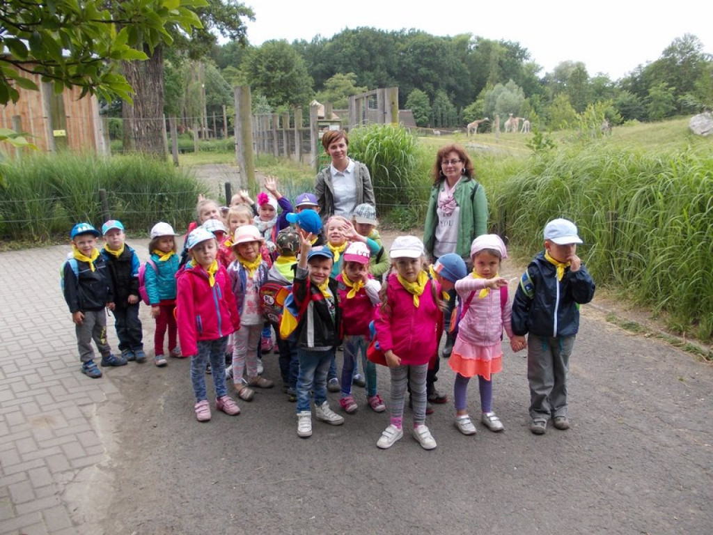 Wycieczkowy zawrót głowy w Jedenastce