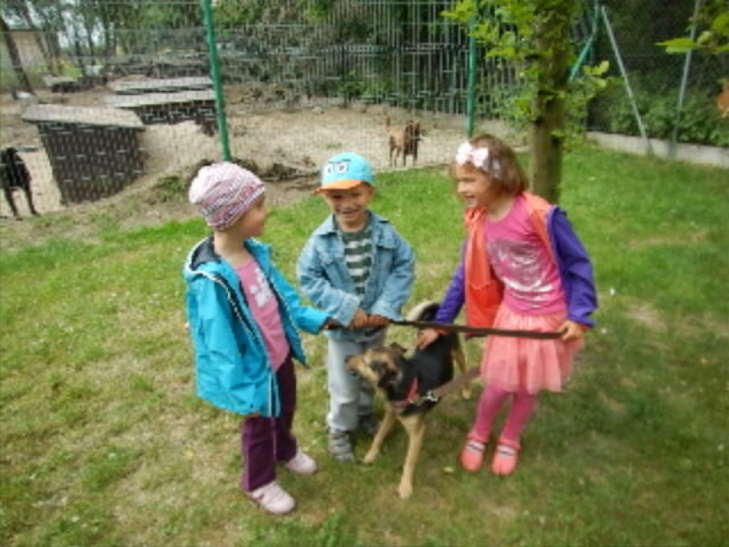 Finał konkursu PRZEDSZKOLE MOICH MARZEŃ - wizyta w Przytulisku 