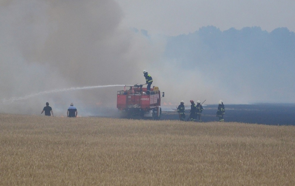 Pożar lasu i zboża w Kopicach. Helikopter gaśniczy w akcji