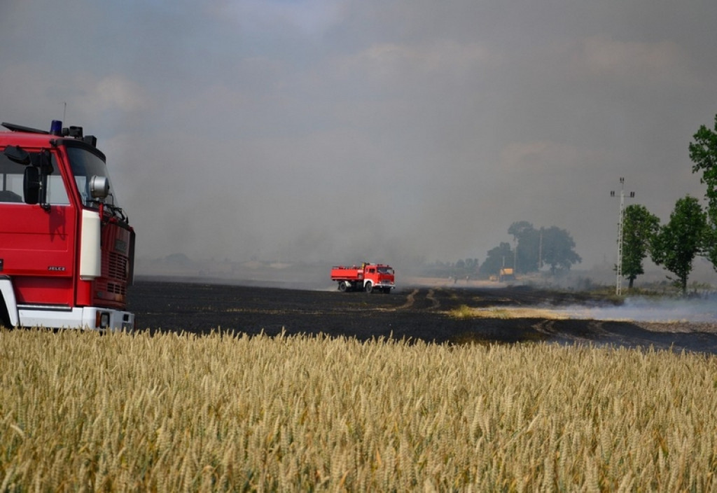 Pożar lasu i zboża w Kopicach. Helikopter gaśniczy w akcji