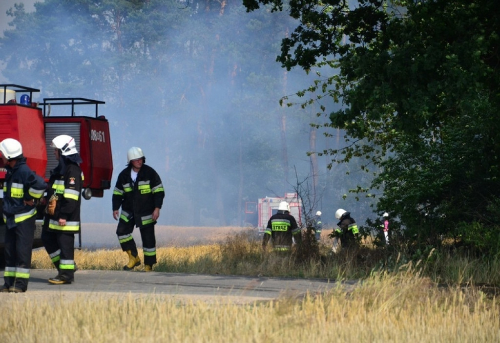 Pożar lasu i zboża w Kopicach. Helikopter gaśniczy w akcji