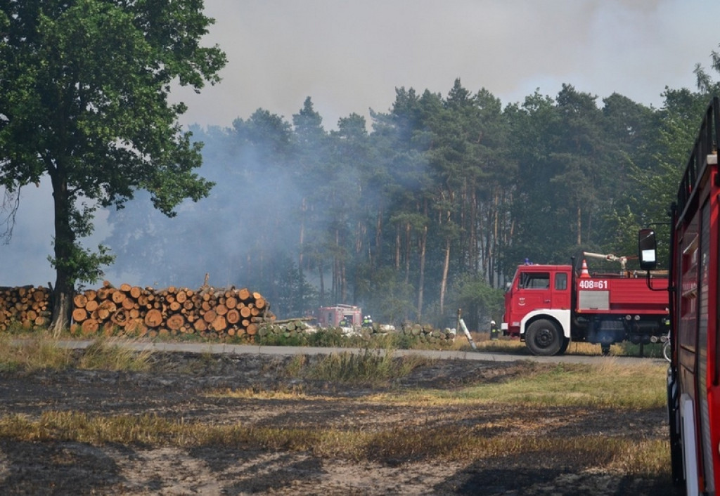 Pożar lasu i zboża w Kopicach. Helikopter gaśniczy w akcji