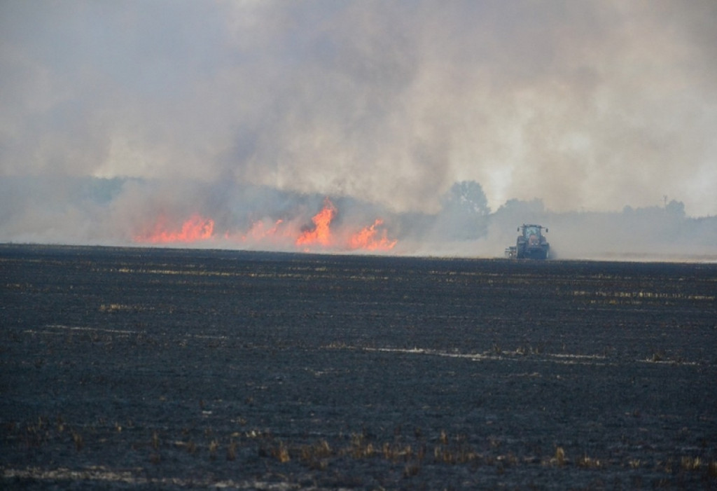 Pożar lasu i zboża w Kopicach. Helikopter gaśniczy w akcji