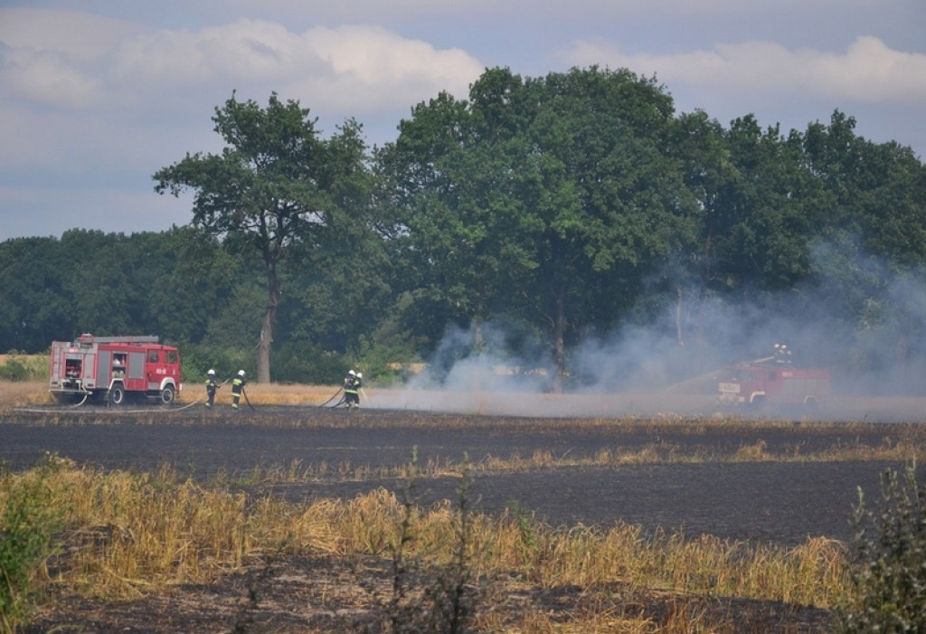 Pożar lasu i zboża w Kopicach. Helikopter gaśniczy w akcji