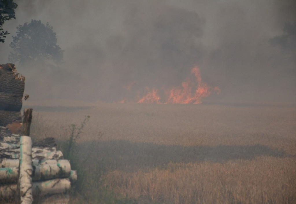 Pożar lasu i zboża w Kopicach. Helikopter gaśniczy w akcji
