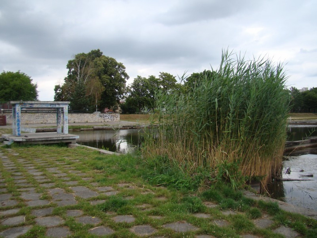 Co z basenem w Brzegu?  Mieszkańcy są gotowi zbierać fundusze