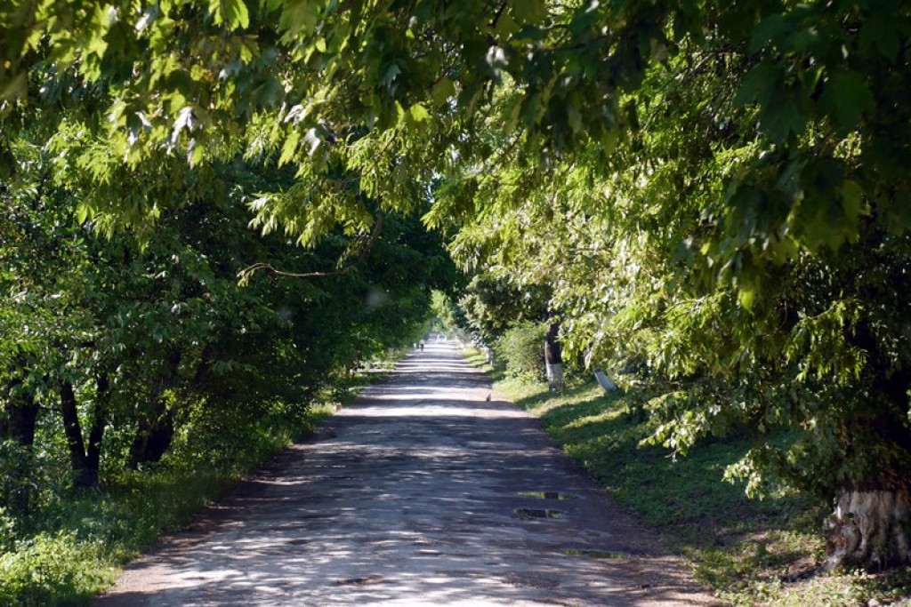 Na Kresach w Łosiaczu