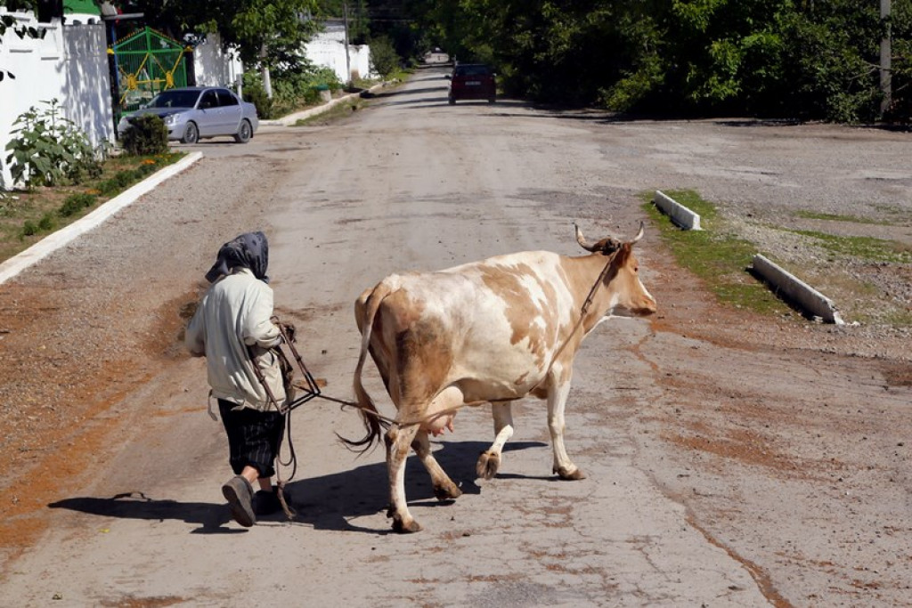 Na Kresach w Łosiaczu
