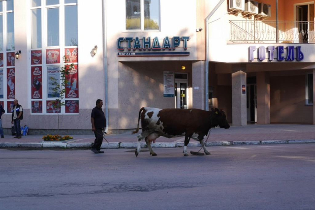 Na Kresach w Łosiaczu