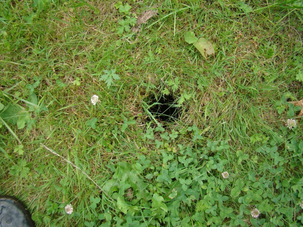 Podziemne miasto. Schron przy ul. Reja dobrze zachowany, tajemnicze zejścia przy fosie [video]