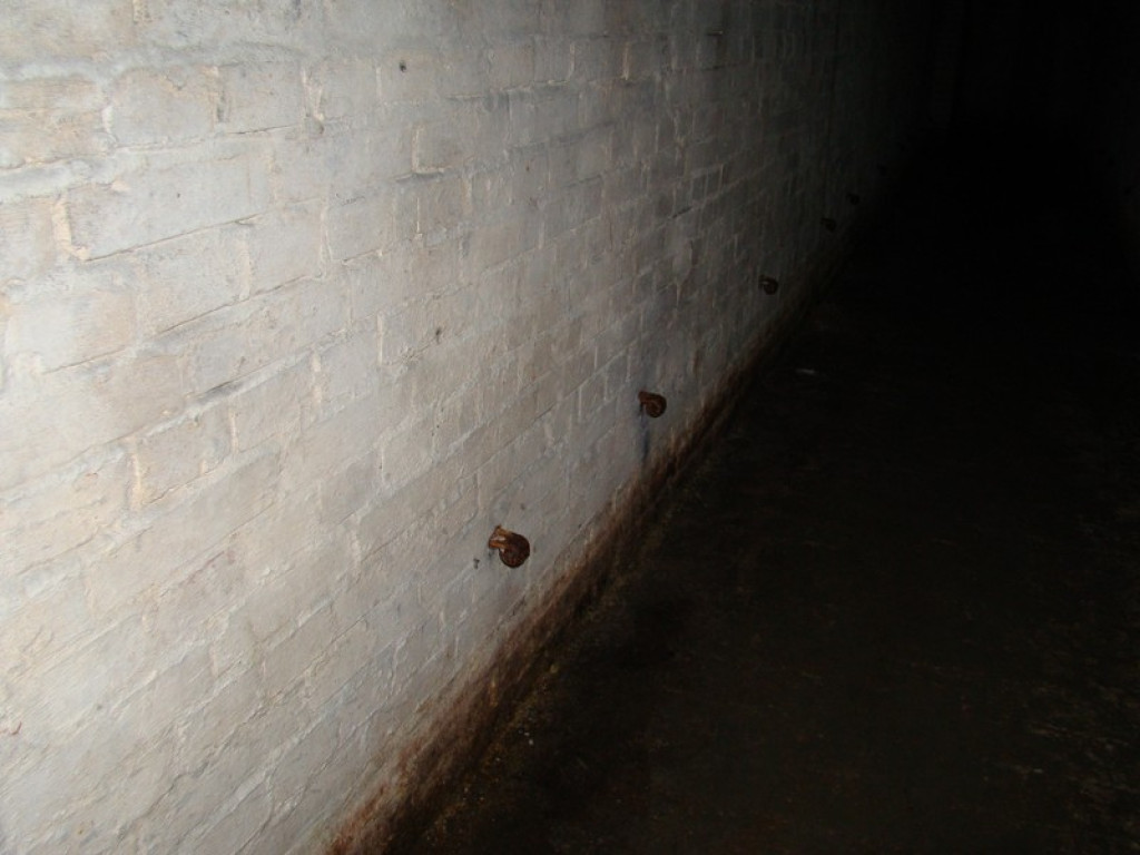 Podziemne miasto. Schron przy ul. Reja dobrze zachowany, tajemnicze zejścia przy fosie [video]