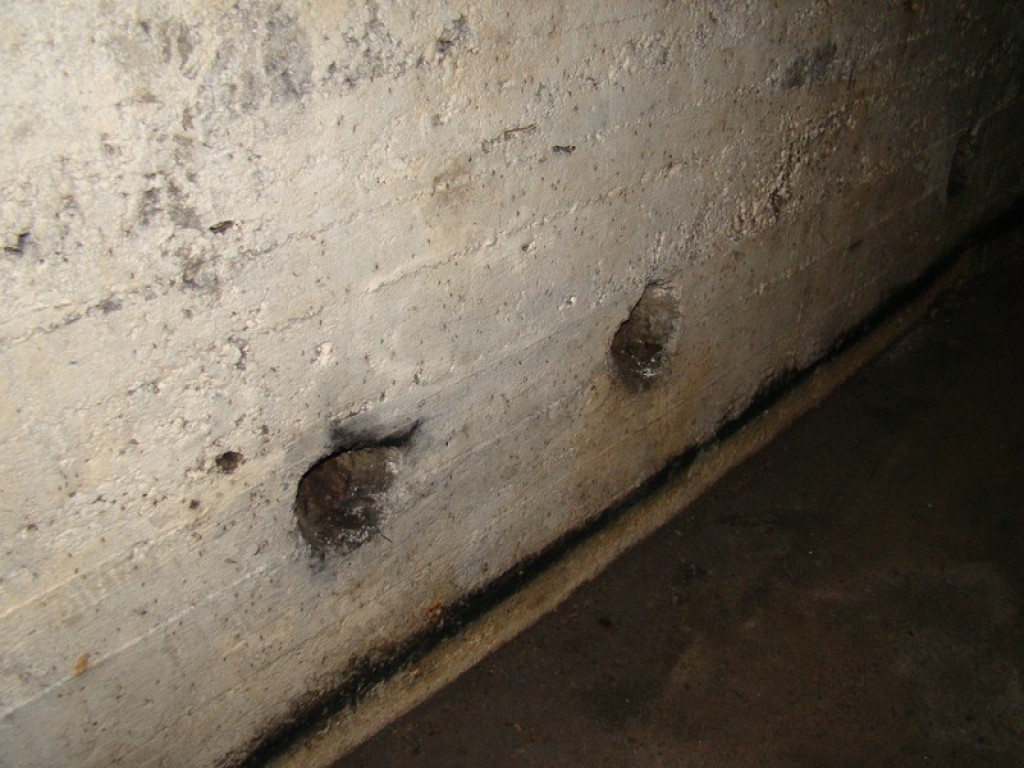 Schron przy fosie ma ponad 80 m długości [wideo]