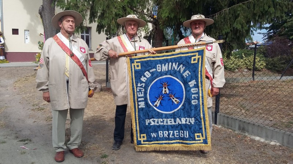 Dożynki Gminne w Zielęcicach    [fotorelacja]