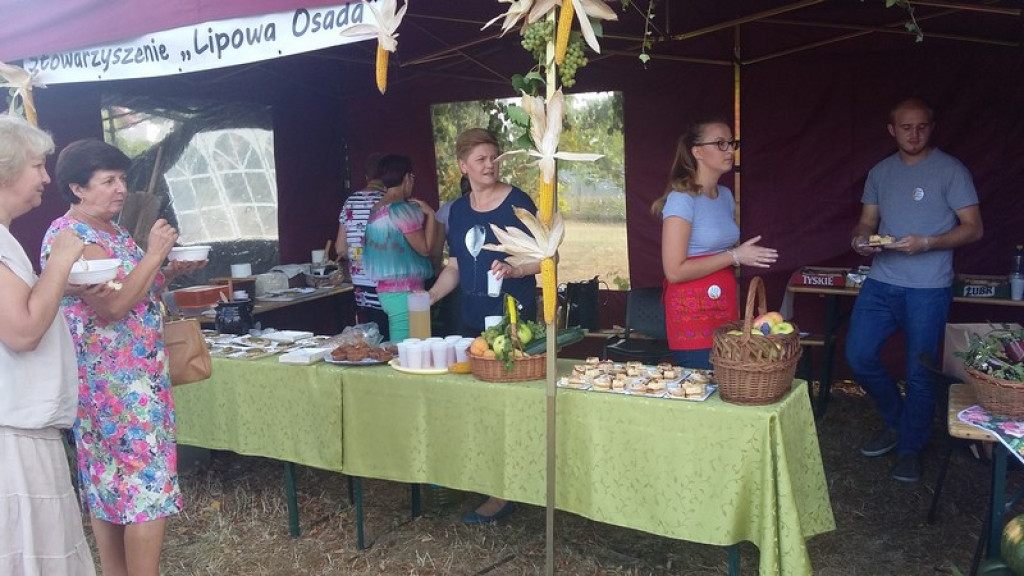 Dożynki Gminne w Zielęcicach    [fotorelacja]