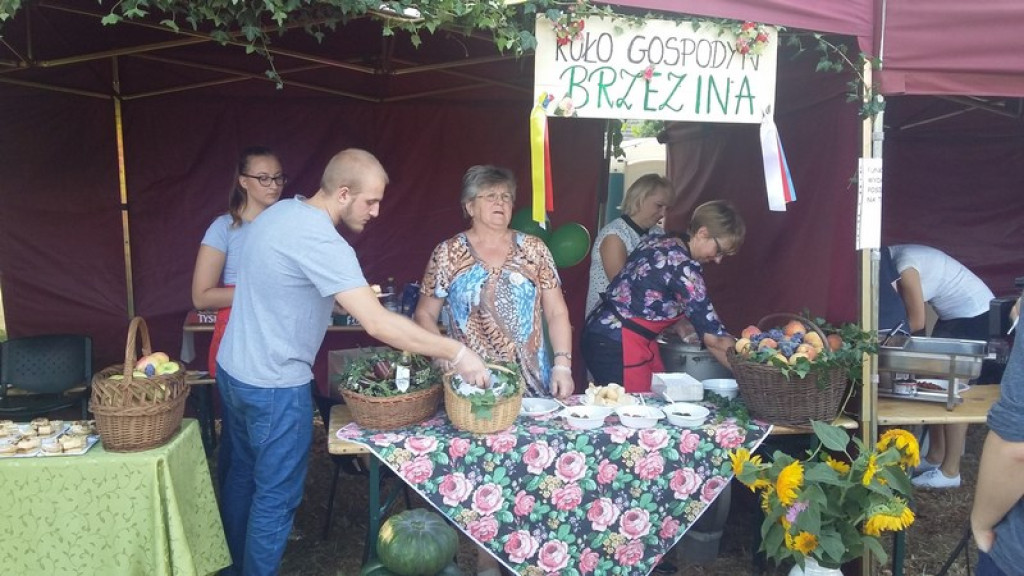 Dożynki Gminne w Zielęcicach    [fotorelacja]