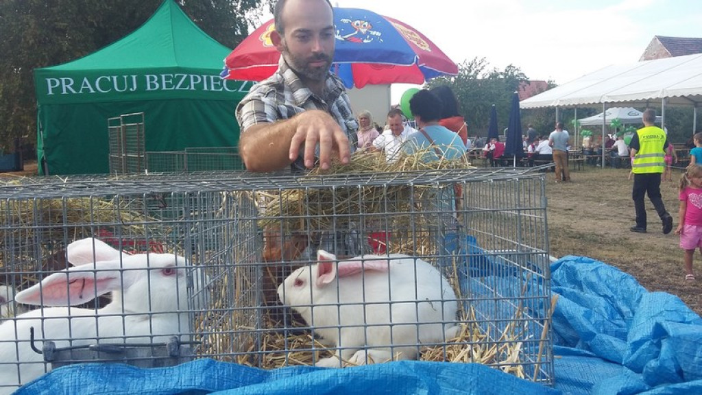 Dożynki Gminne w Zielęcicach    [fotorelacja]