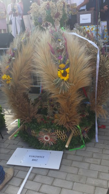 Dożynki Gminne w Zielęcicach    [fotorelacja]