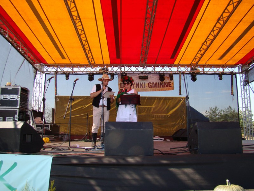 Dożynki Gminne w Dobrzyniu [fotorelacja]
