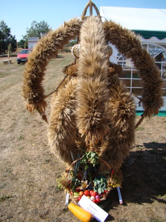 Dożynki Gminne w Dobrzyniu [fotorelacja]