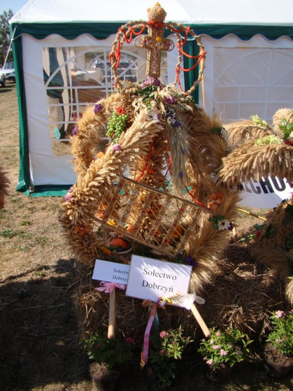 Dożynki Gminne w Dobrzyniu [fotorelacja]