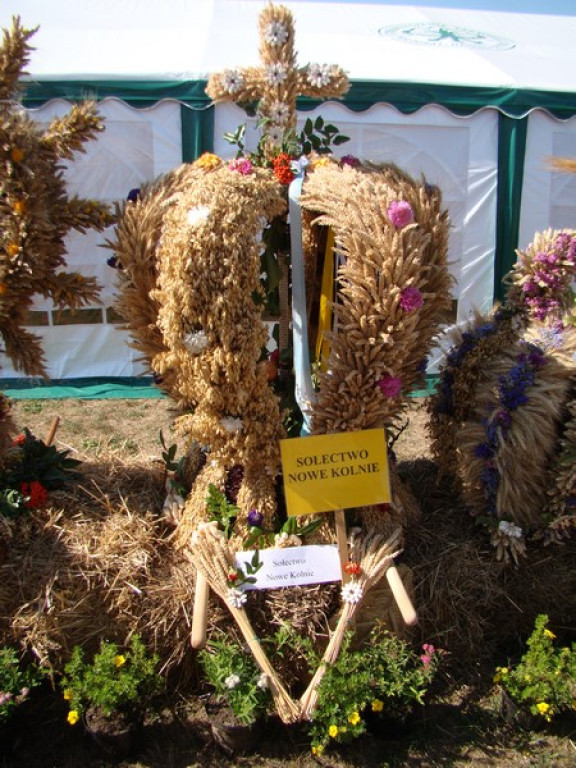 Dożynki Gminne w Dobrzyniu [fotorelacja]