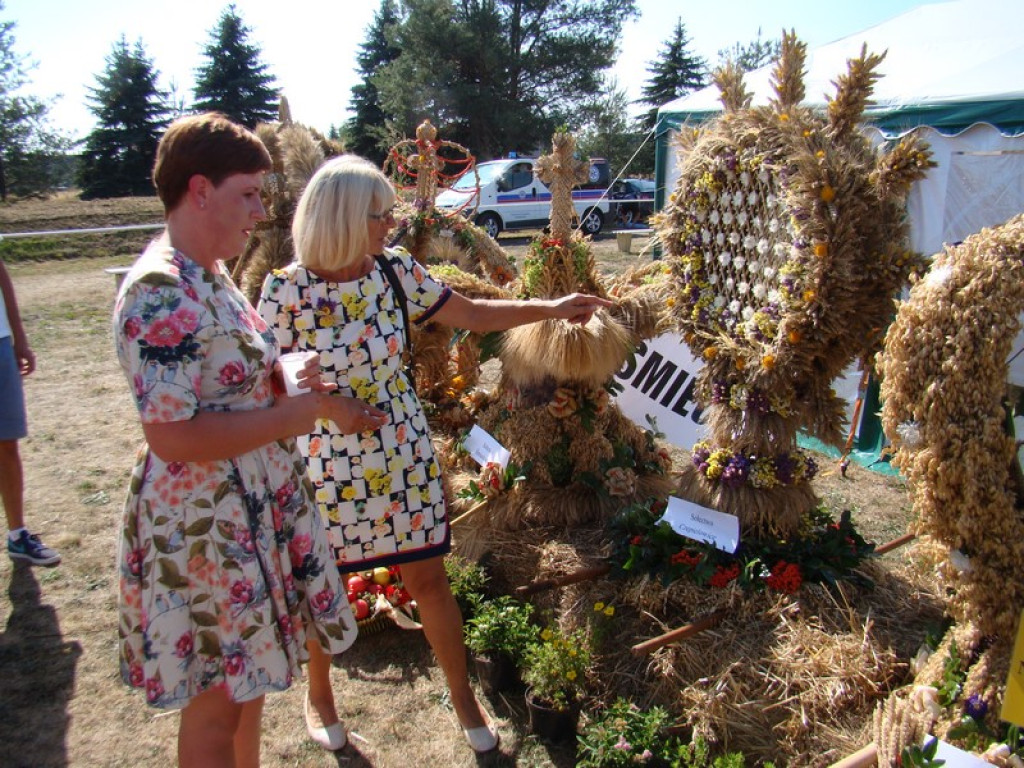 Dożynki Gminne w Dobrzyniu [fotorelacja]