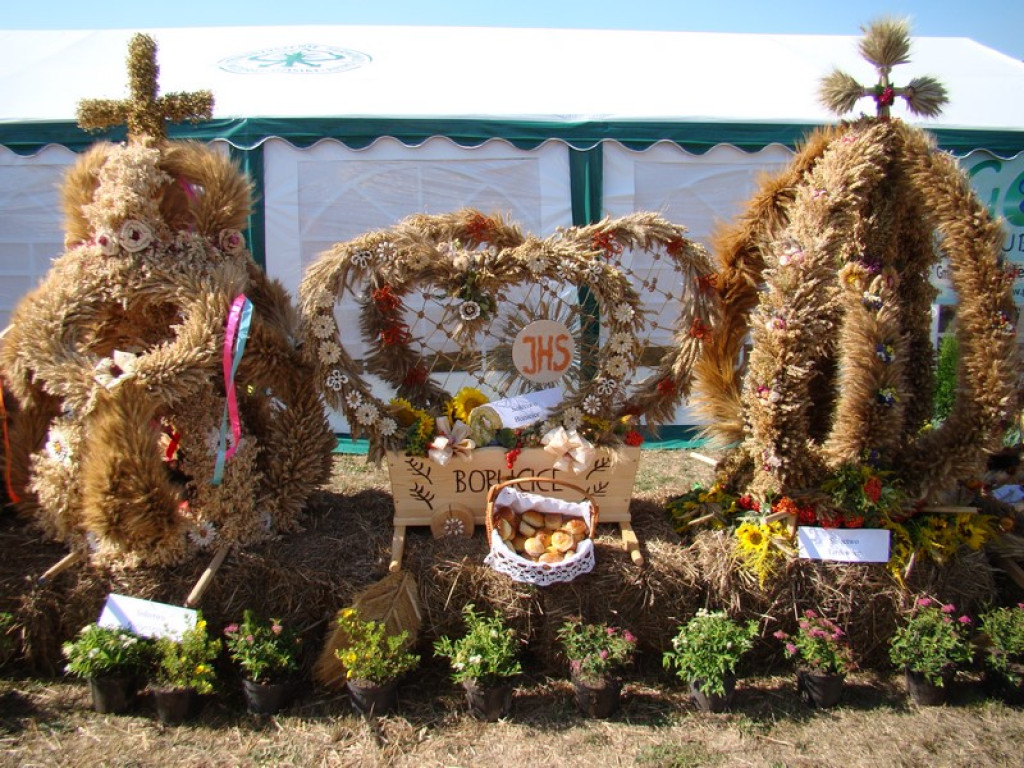 Dożynki Gminne w Dobrzyniu [fotorelacja]