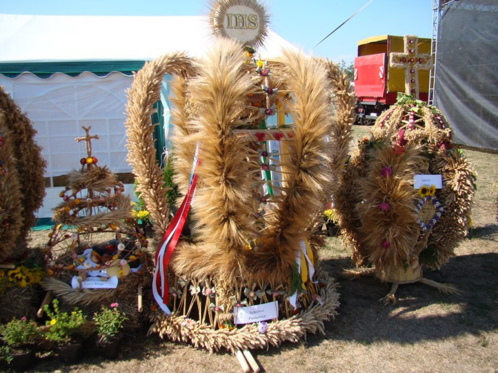 Dożynki Gminne w Dobrzyniu [fotorelacja]