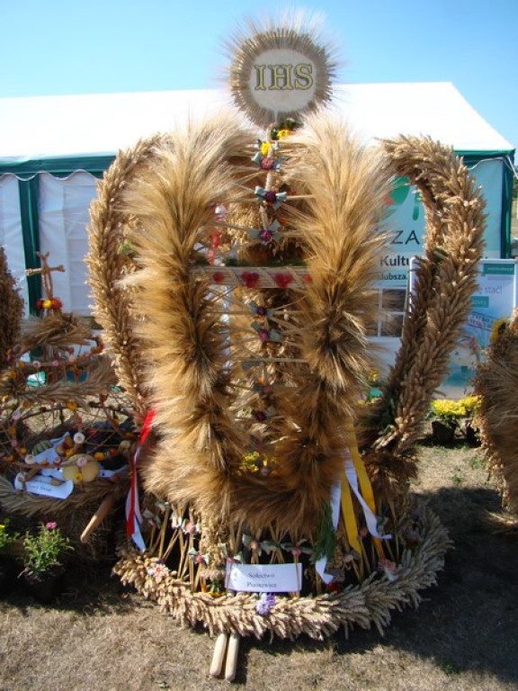 Dożynki Gminne w Dobrzyniu [fotorelacja]