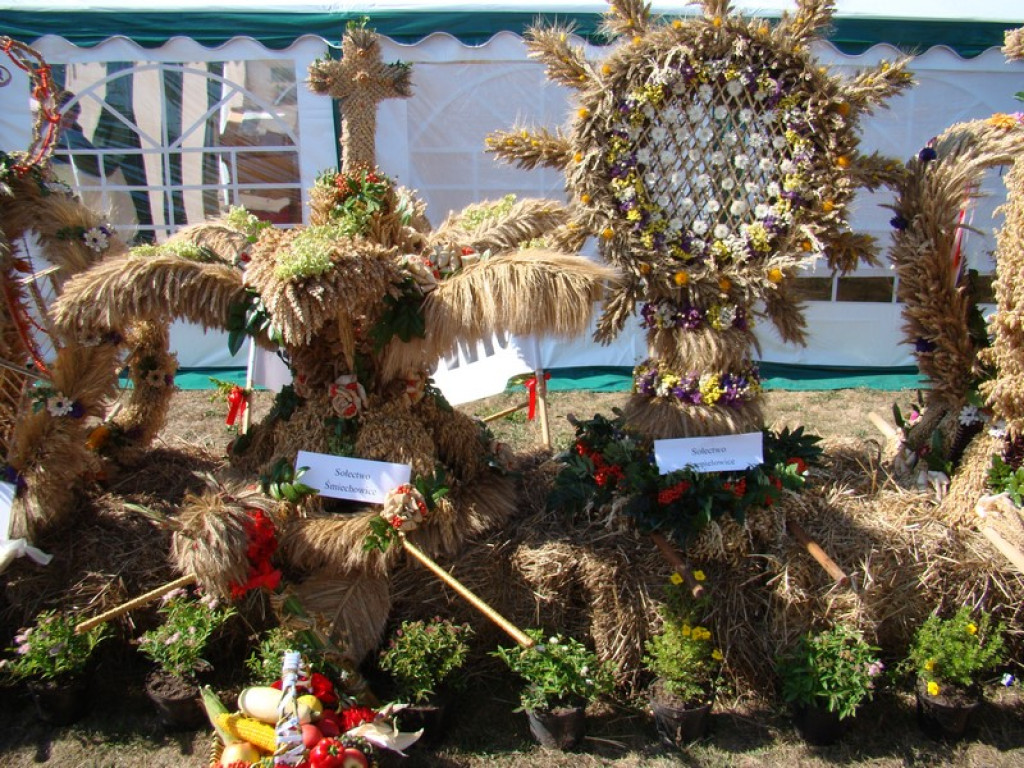 Dożynki Gminne w Dobrzyniu [fotorelacja]