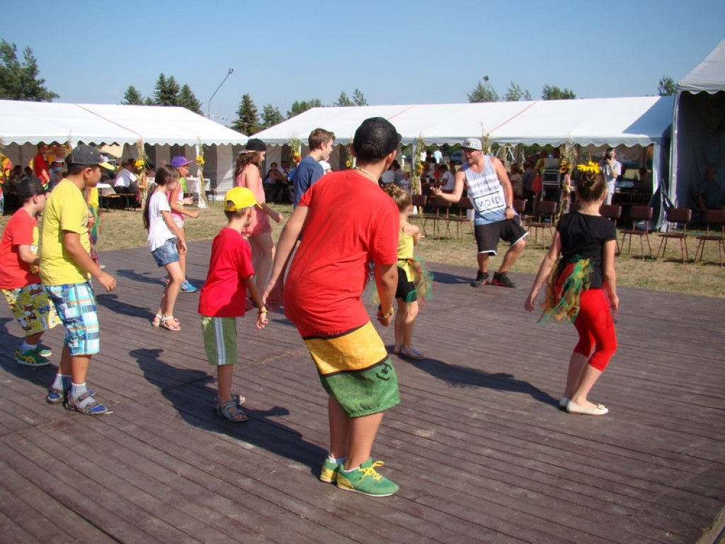 Dożynki Gminne w Dobrzyniu [fotorelacja]